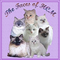 The Faces of HCM
